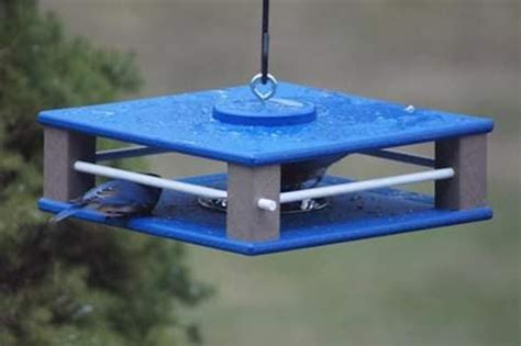 Cedar is a popular choice for wooden bird feeders since it can withstand a range of weather conditions without warping or decaying as many other wood products. . Stan bluebird feeder